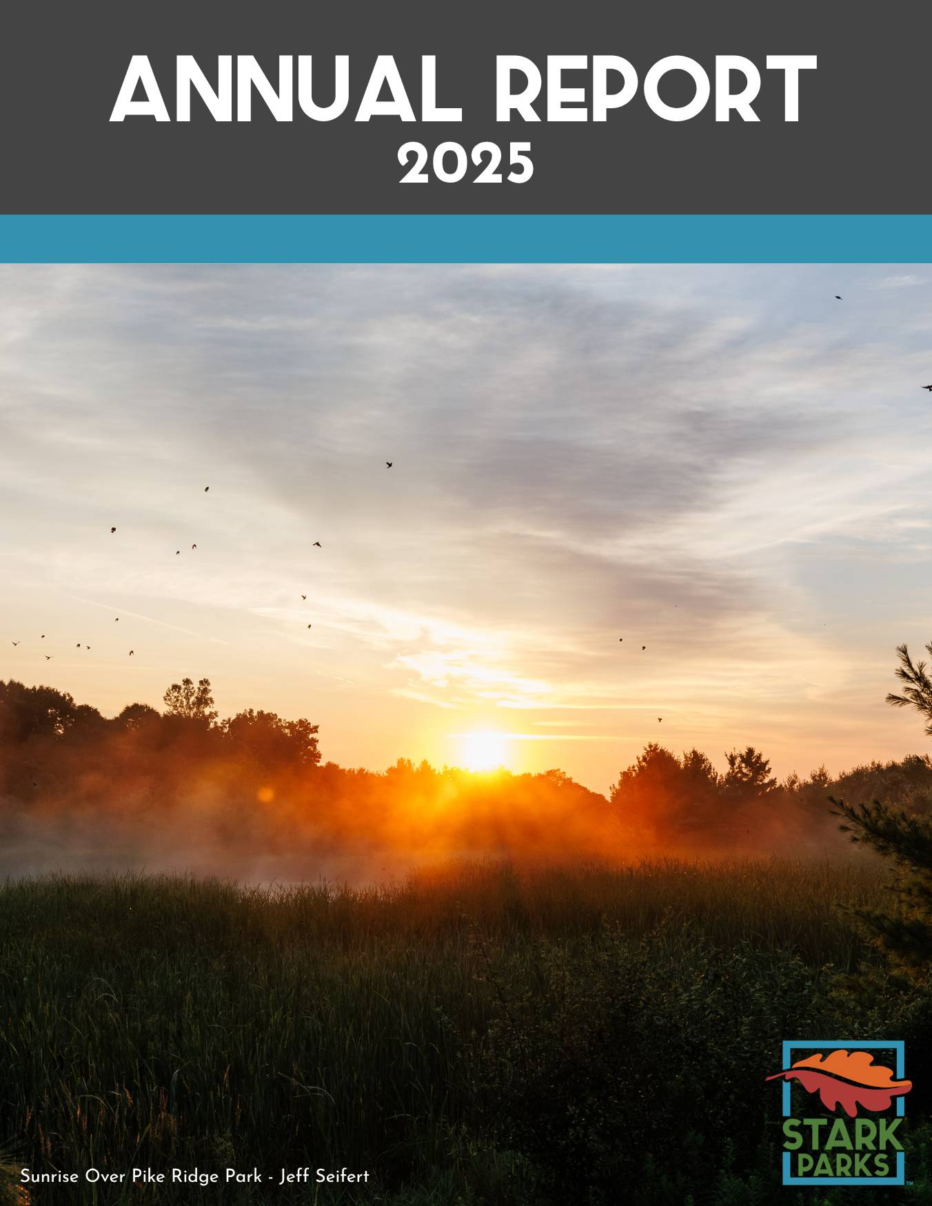 2025 annual report cover - Copy
